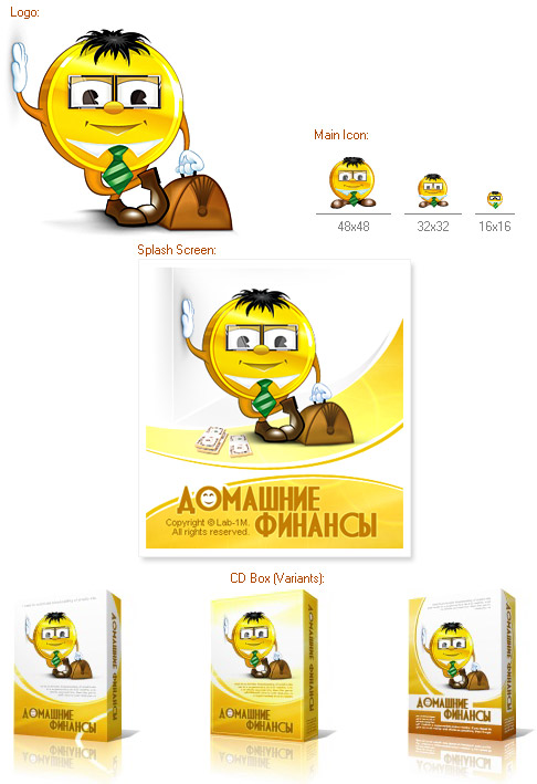 Software Identity Design for Domashnie finansy